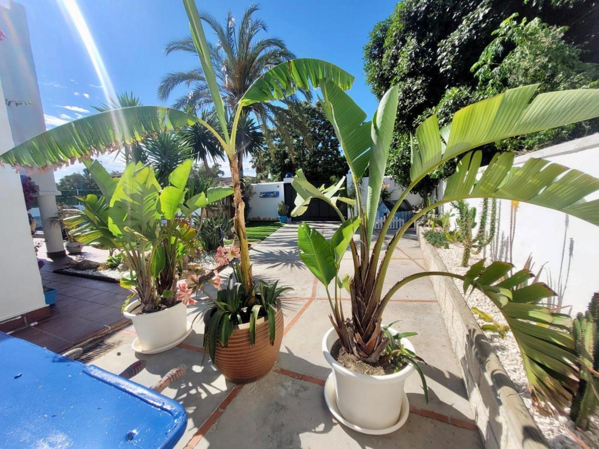 Gatu Premium Villa Lurberri Piscina Privada, 4 Dormitorios, 2 Banos, Parking , Jardines, " Preferente Mayores De 25 Anos Y Familias " In Y Barbacoa Chiclana de la Frontera Eksteriør bilde